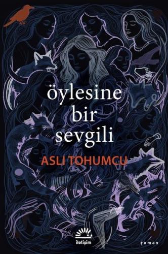 Öylesine Bir Sevgili | Kitap Ambarı
