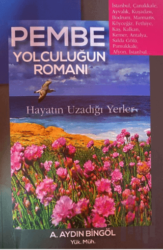Pembe Yolculuğun Romanı | Kitap Ambarı