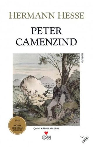 Peter Camenzind | Kitap Ambarı