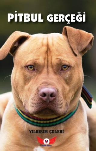 Pitbul Gerçeği | Kitap Ambarı