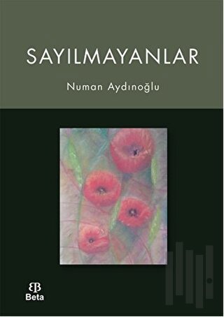 Sayılmayanlar