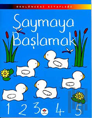 Saymaya Başlamak