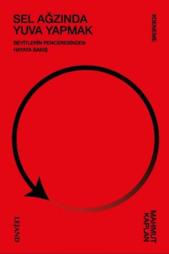 Sel Ağzında Yuva Yapmak - Beyitlerin Penceresinden Hayata Bakış