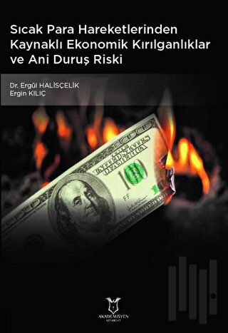 Sıcak Para Hareketlerinden Kaynaklı Ekonomik Kırılganlıklar ve Ani Duruş Riski