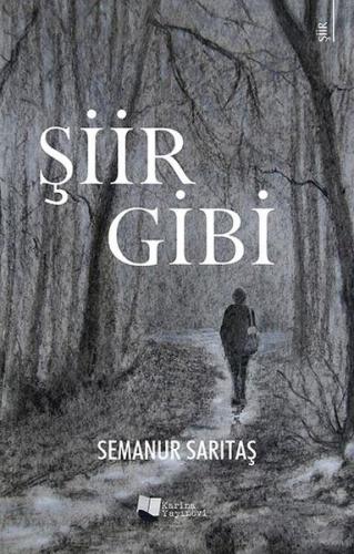 Şiir Gibi | Kitap Ambarı