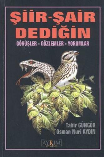 Şiir - Şair Dediğin | Kitap Ambarı
