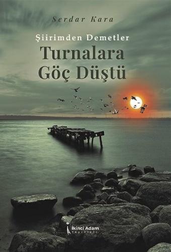 Şiirimden Demetler - Turnalara Göç Düştü