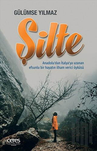 Şilte