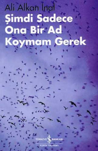 Şimdi Sadece Ona Bir Ad Koymam Gerek