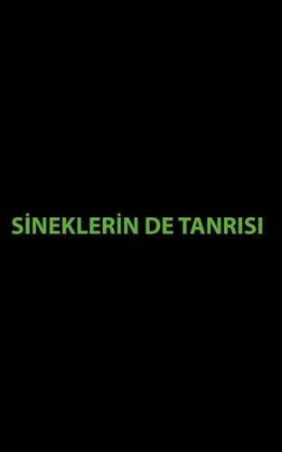 Sineklerin de Tanrısı
