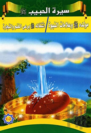 Siretül Habib / Peygamberimizin Hayatı - 5 Kitap | Kitap Ambarı