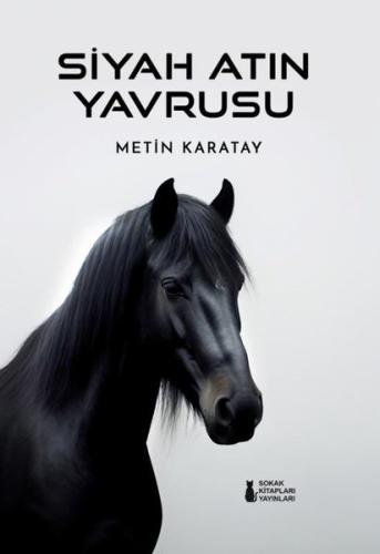 Siyah Atın Yavrusu