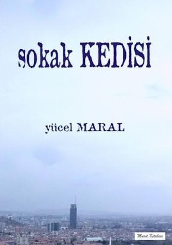 Sokak Kedisi