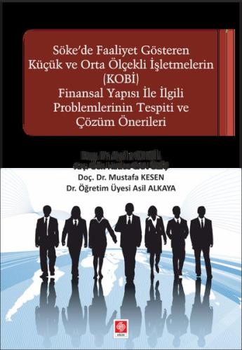 Söke'de Faaliyet Gösteren Küçük ve Orta Ölçekli işletmelerin (KOBİ) Finansal Yapısı ile İlgili Problemler