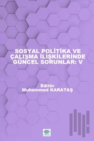 Sosyal Politika ve Çalışma İlişkilerinde Güncel Sorunlar: V | Kitap Am