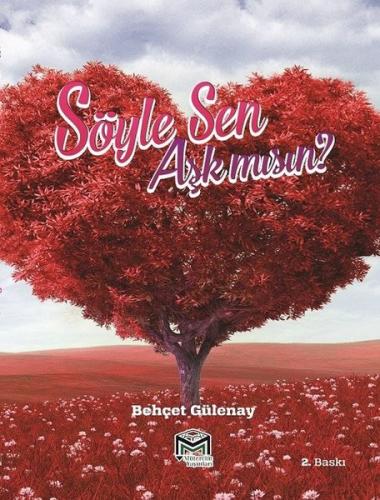 Söyle Sen Aşk Mısın?