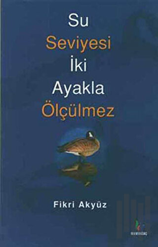 Su Seviyesi İki Ayakla Ölçülmez