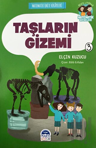 Taşların Gizemi - Matematik Ünite Hikayeleri 3 | Kitap Ambarı