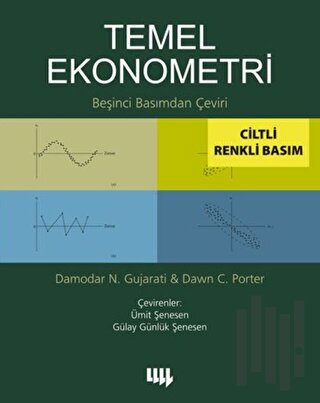 Temel Ekonometri (Renkli) (Ciltli)