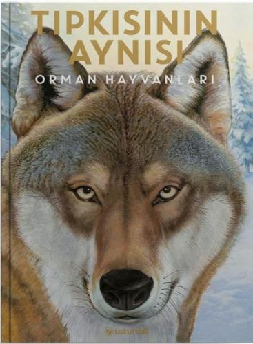 Tıpkısının Aynısı - Orman Hayvanları (Ciltli)