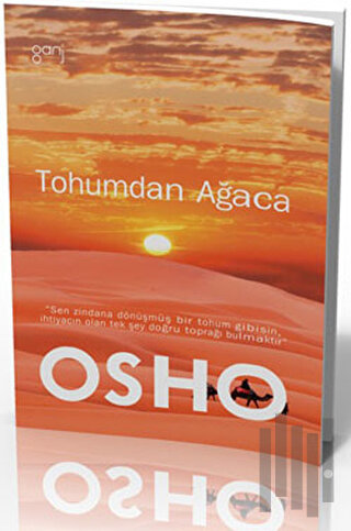 Tohumdan Ağaca