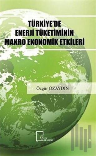Türkiye'de Enerji Tüketiminin Makro Ekonomik Etkileri
