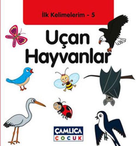 Uçan Hayvanlar / İlk Kelimelerim -5
