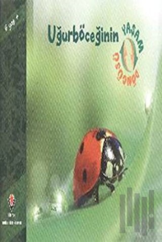 Uğurböceğinin Yaşam Döngüsü