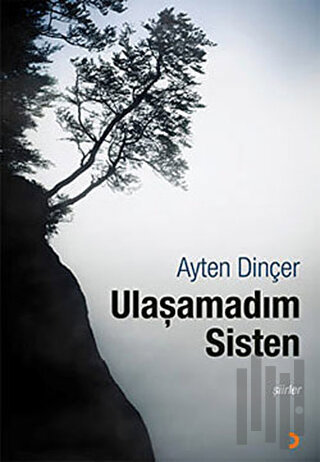 Ulaşamadım Sisten