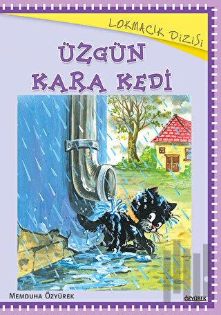 Üzgün Kara Kedi