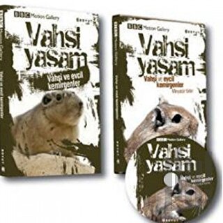 Vahşi Yaşam-Vahşi ve Evcil Kemirgenler