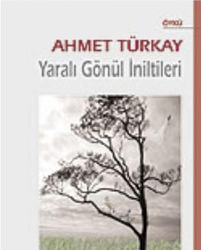 Yaralı Gönül İniltileri | Kitap Ambarı