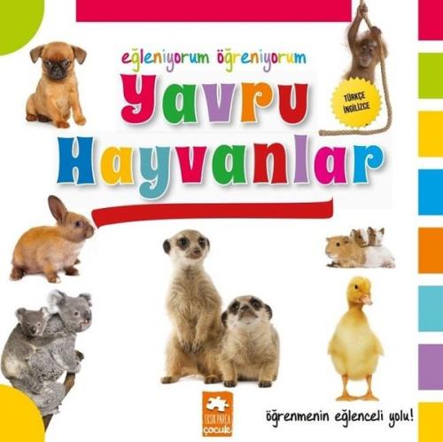Yavru Hayvanlar-Eğleniyorum Öğreniyorum