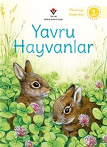 Yavru Hayvanlar