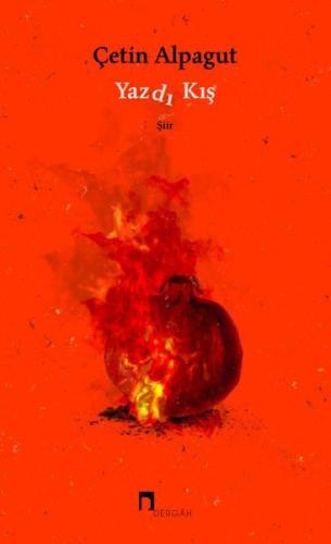 Yazdı Kış | Kitap Ambarı