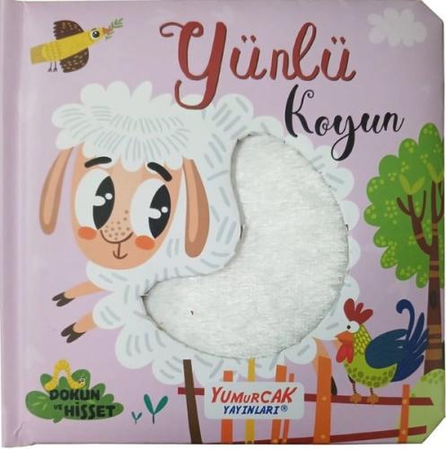 Yünlü Koyun - Dokun ve Hisset