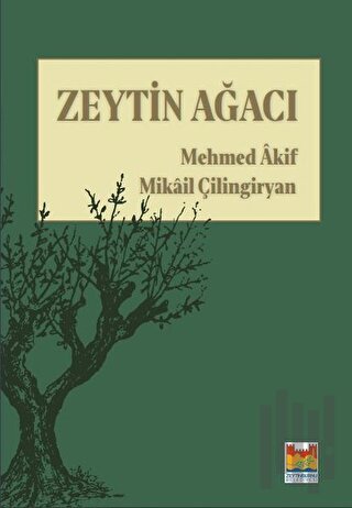 Zeytin Ağacı